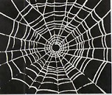 Spider's Web